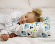 Load image into Gallery viewer, Toddler Pillow (Dinosaurs) - PharMeDoc
